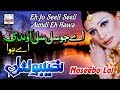 Eh jo seeli seeli  best of naseebo lal  hitech music