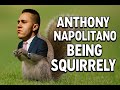 Watch Before You Join iGenius: Ant being a Squirrel #antimlm #igenius