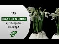 Подснежники из холодного фарфора. Diy. Snowdrops made of polymer clay.