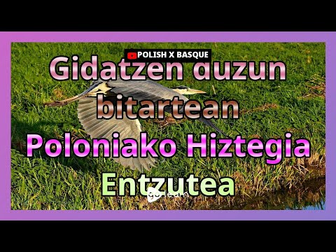 Gidatzen duzun bitartean Poloniako Hiztegia Entzutea | Golearn