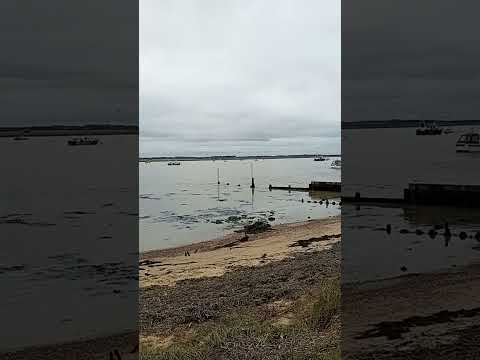 Large Flock of Geese at Bawdsey Quay,  suffolk Uk 🇬🇧 😃