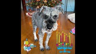 Happy Hanukkah