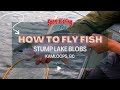 Fly fishing stump lake blobs show