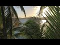 Frenchman&#39;s Reef Sunset USVI