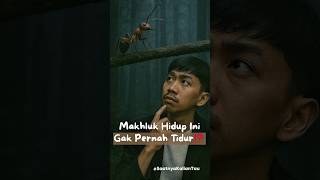 Ternyata Semut Gak Pernah Tidur Pulas‼️#trendingshorts #fyp #funfacts