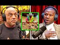 Floyd Mayweather OPENS UP on $1.1 Billion Loss &amp; Bankruptcy Rumors on Joe Rogan Podcast 😱