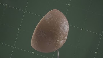 Grapefruit rotating with loop on green screen for chroma key