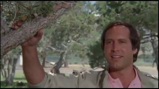 Clark Griswold does the SANDWICH DANCE for Christy Brinkley - Family Vacation