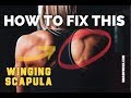 REAL WINGED SCAPULA FIX | SmashweRx | Trevor Bachmeyer