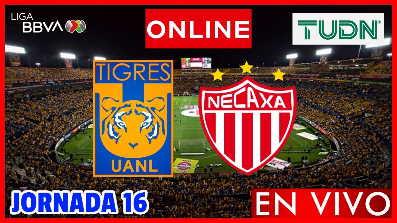 Tigres vs Necaxa EN VIVO | Jornada 16 Liga MX Clausura 2024 | NARRACION ...