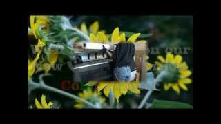 UPS Store Thomasville Promo Video