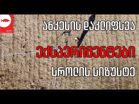 ანკესის დაკლიფსვა და სროლის სიზუსტე - ექსპერიმენტი