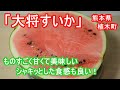 「大将すいか」が最高に美味しかった 熊本県植木町産 Taishou watermelon was the most delicious from Uekimachi, Kumamoto Japan