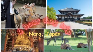 Best Nara Japan Trip