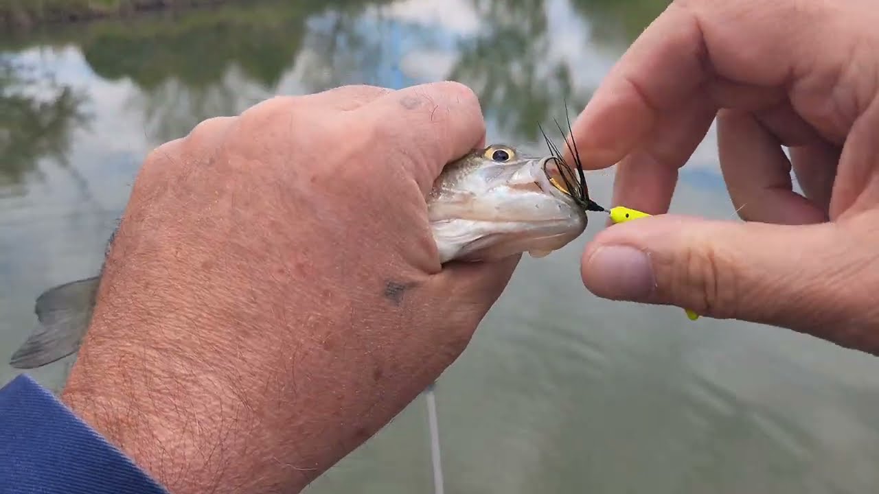 Bass fishing a newly discovered hidden pond only blocks from my house.