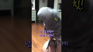 말싸움에서 지지않는 #김유정네앵무새 #김루이 #추출본영상 #shorts