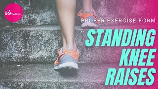 Proper Exercise Form: Standing Knee Raises