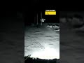 Ukrainian Ground Robot Rams Russian FPV Drone #warinukraine