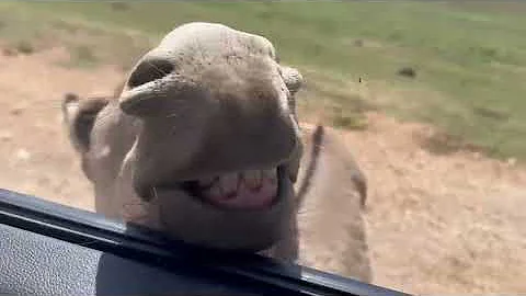 That Was Really Filmed on Camera