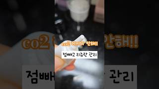CO2레이저 VS 일반레이저 점빼고 7일째 관리방법 #skincare #점빼기 #shorts #40대피부관리