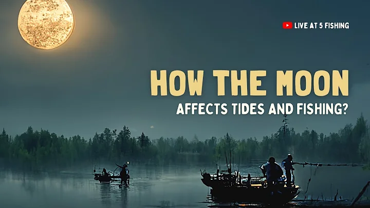 How The Moon Affects Tides and Fishing