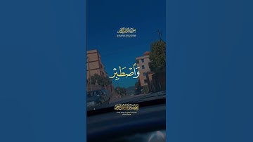 تلاوة عطرة لآيات من كتاب الله #القرآن_الكريم #القرآن #الله #اكسبلور #المصحف #foryou #راحة_نفسية #fyp