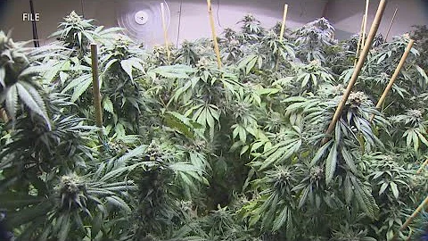 Oklahoma Supreme Court to consider recreational marijuana for Nov. ballots