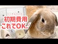 【完全版】うさぎのお迎え準備｜必要なもの＆初期費用すべて公開｜初心者向け