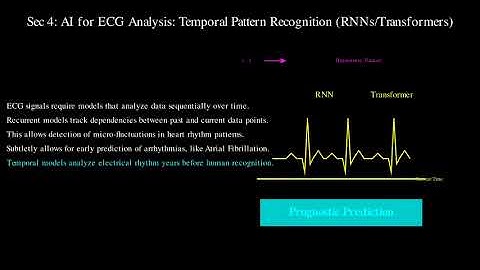 AI in Echocardiography and ECG Analysis