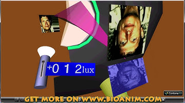 Color perception - rods and cones