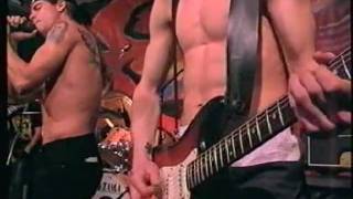 Video thumbnail of "Red Hot Chili Peppers - yertle the turtle Dutch TV 1990"