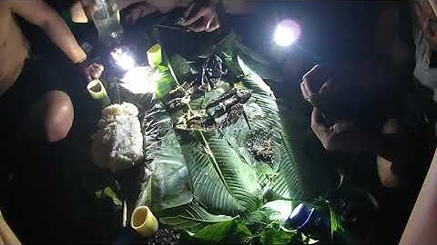 Dã ngoại suối tây bắc | Câu cá và thả lưới ,câu đêm thất bại