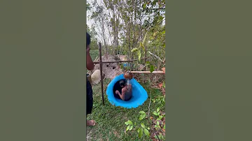 WaterSlide Survival Swimmingpool Waterslide 