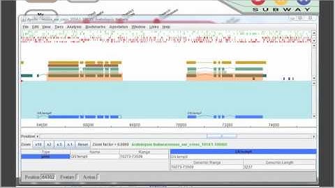 DNA Subway (www.dnasubway.org)