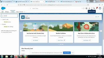 Apex REST Callouts | Apex Integration Services | Trailhead Solution