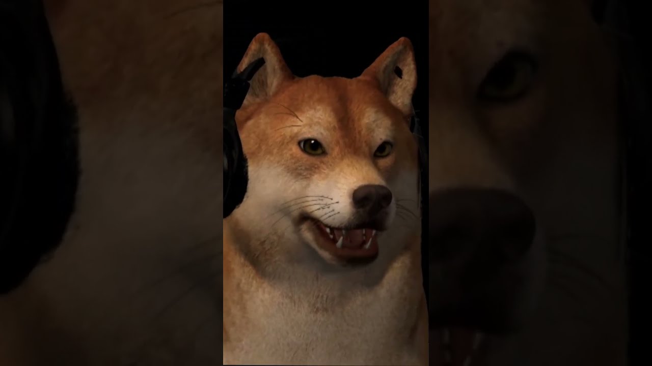Funny Dog watches Funny Clip