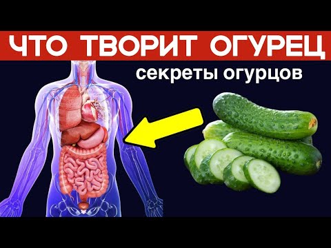 Удивительное Свойство ОГУРЦА! Чего Вы Не Знали!! | Огурец Польза и Вред
