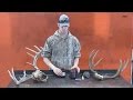 HOW TO:  Colour and Restore antlers