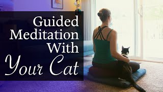 Guided Meditation With Your Cat ~ 12-Minute Mindful Cuddle Sesh With Your Kitty