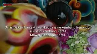 Story_wa#Arti bunga Mawar kenongo kantil