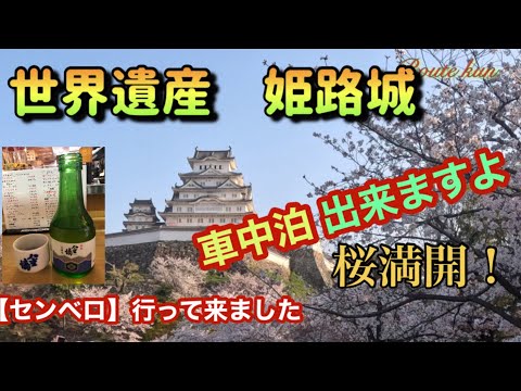 【キャンピングカー】世界遺産の目の前で車中泊　夜は立ち飲み屋 めっちゃ楽しいよ