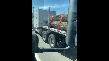 Logs heading to mill 😮😃#youtube#video#youtubeshorts#viral#viralvideo#cool#firewood#tree