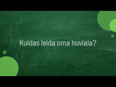 Video: Lihapoe äriplaan koos arvutusega