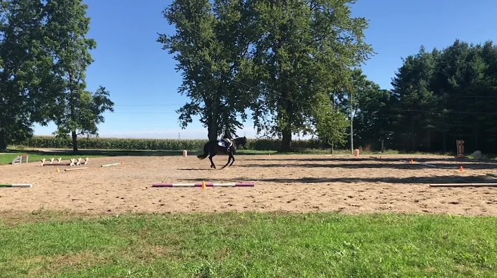 Kaity M, Thames Valley PC - Training Level, Freest...