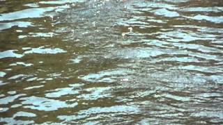 DSCF0623