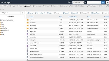 How to show hidden files in cPanel