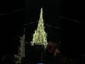 Grand Marais, MN Christmas Tree Lighting