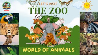 Wild Animals at the Zoo 🐾| Fun & Educational Adventure for Kids!