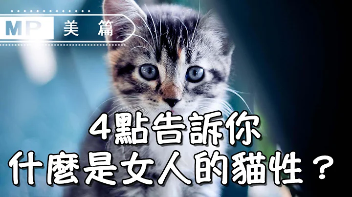 美篇：4點告訴你，什麼是女人的貓性？讓男人如此上癮 - 天天要聞