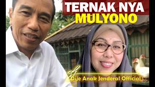 JANGAN KAGET! TERNAK MULYONO TERNYATA BANYAK BANGET GAEESS....